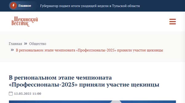 Профессионалы-2025